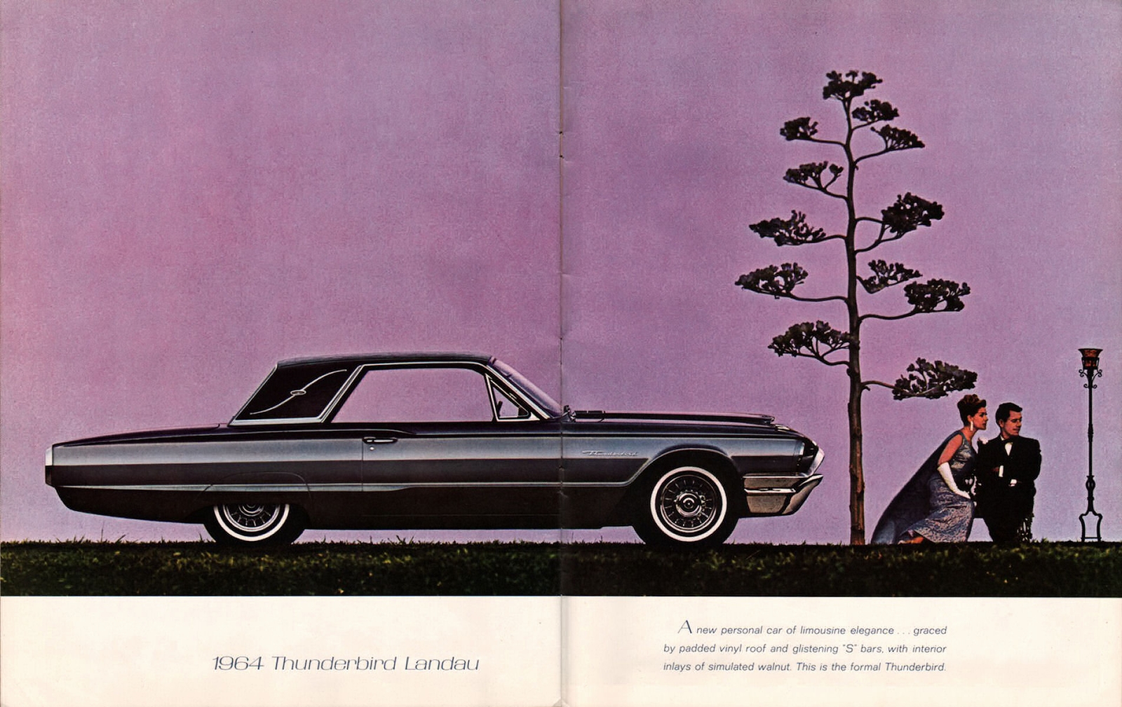 n_1964 Ford Thunderbird-12-13.jpg